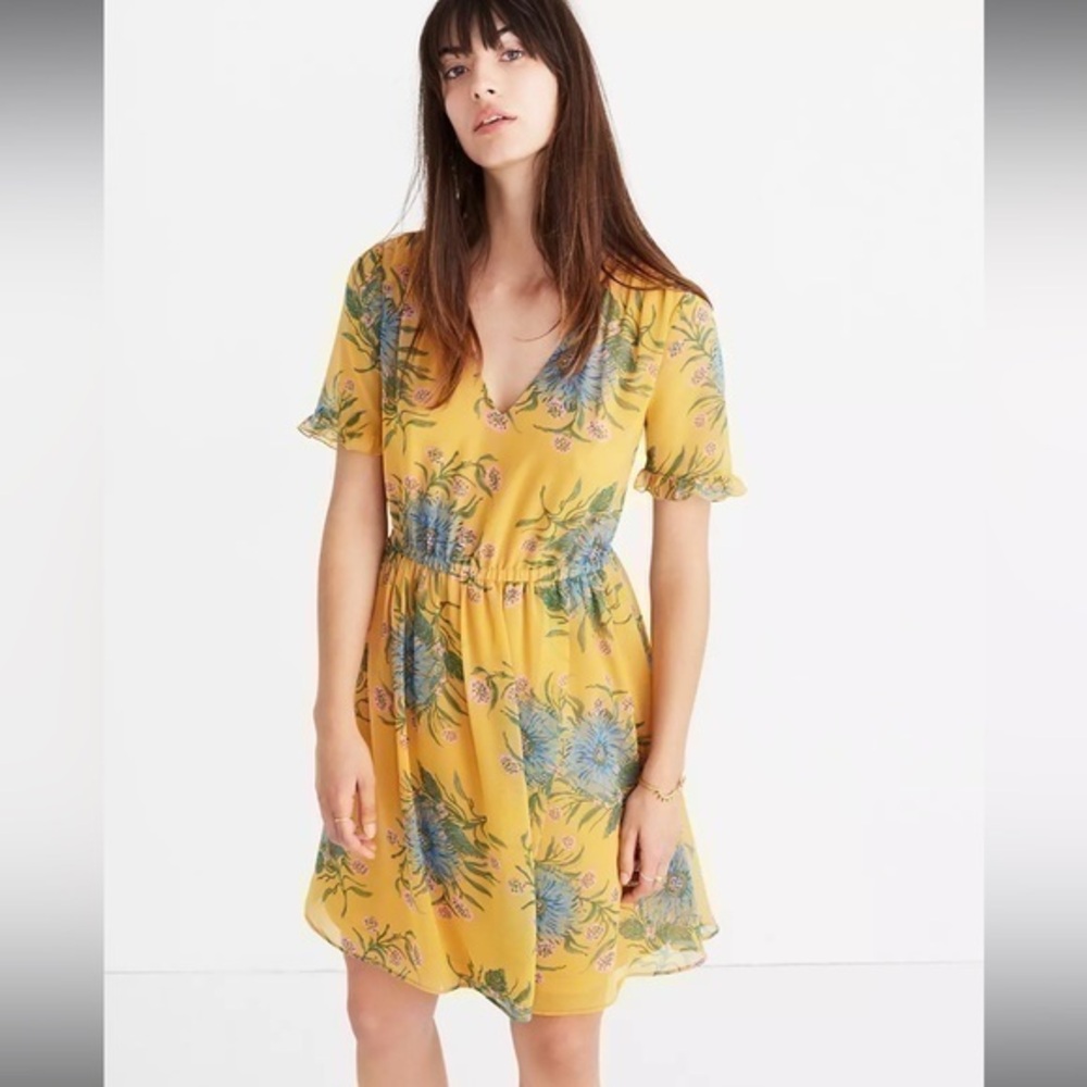 Madewell Sweetgrass Ruffle Sleeved Georgette Dress in Painted Blooms NWT Size 0